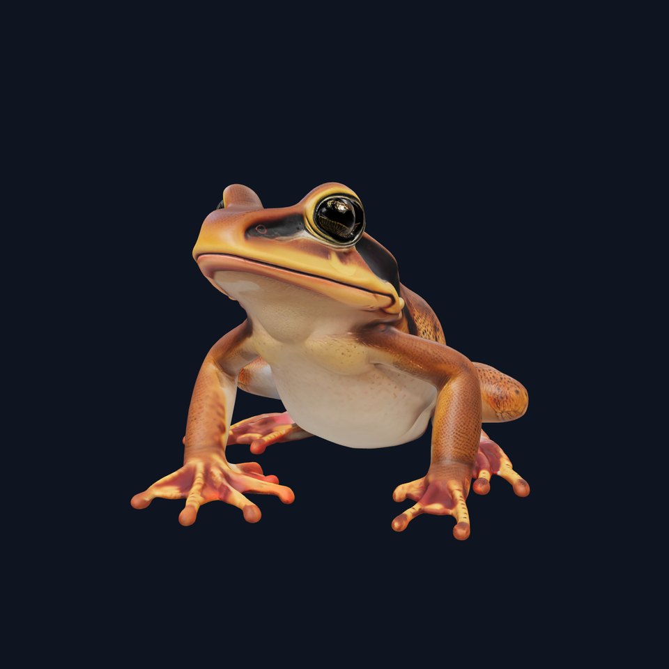 Golden Tree Frog model pack